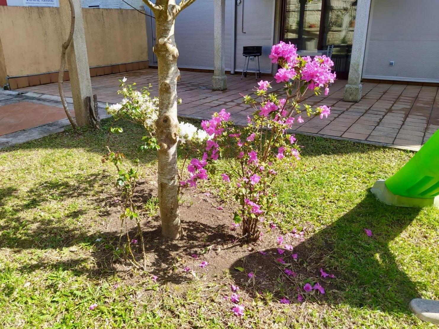 Apartamento Con Jardin Y Piscina Temporada Verano Privados Samieira المظهر الخارجي الصورة