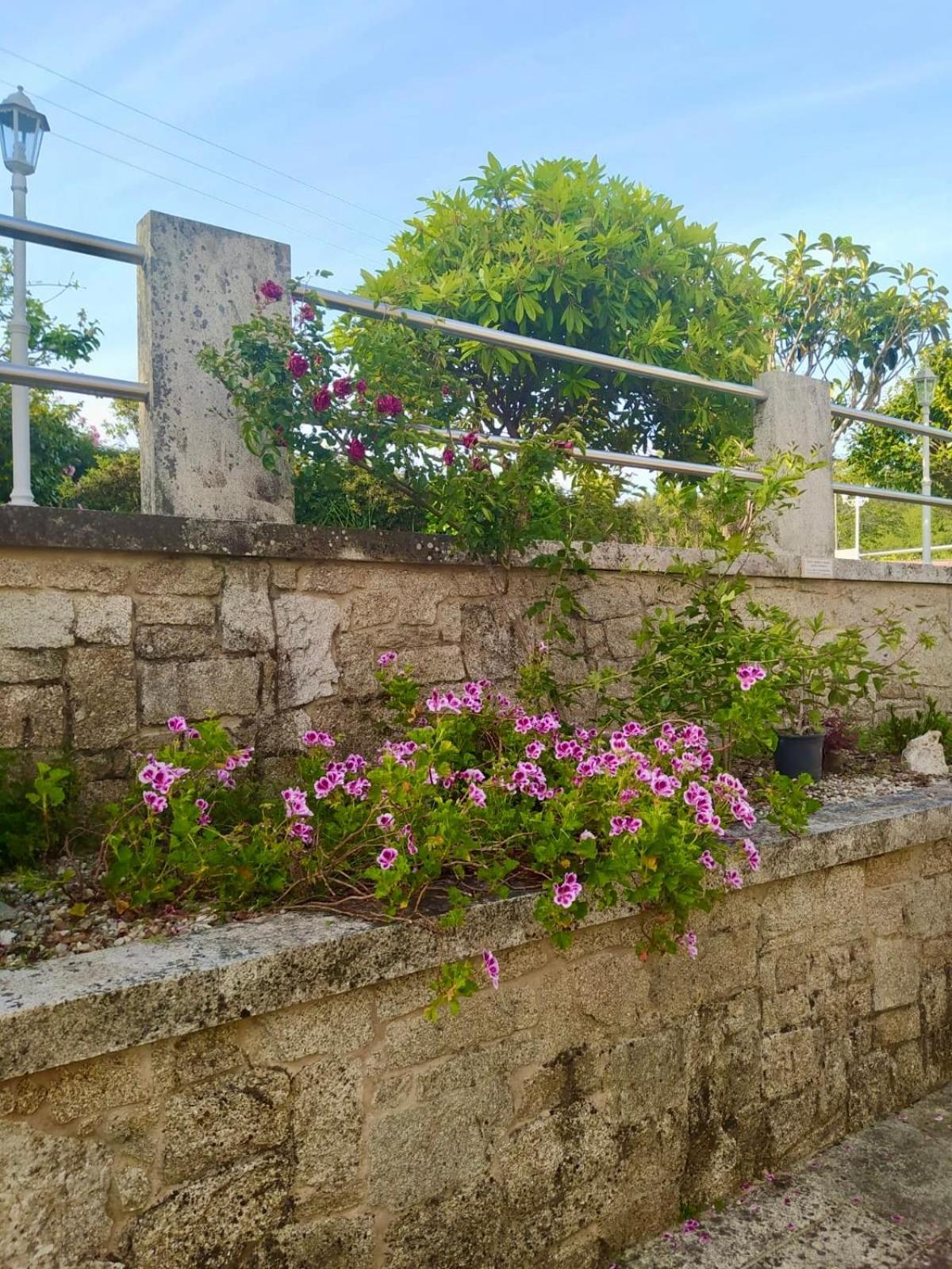Apartamento Con Jardin Y Piscina Temporada Verano Privados Samieira المظهر الخارجي الصورة